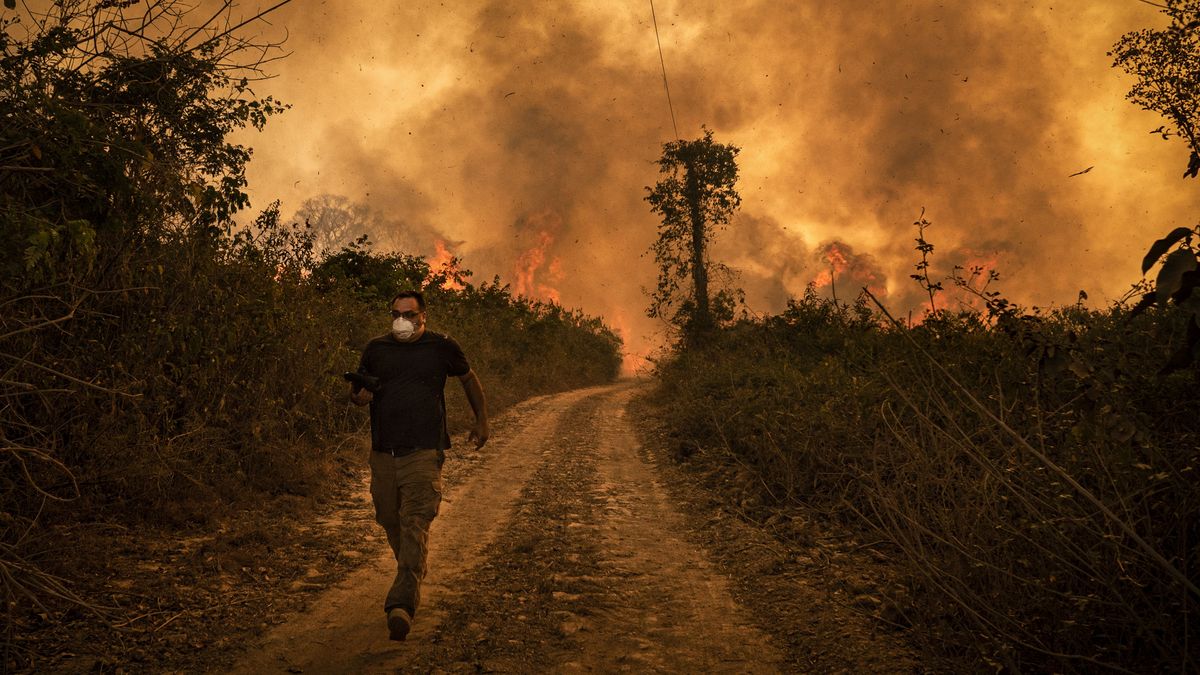 Brazil wildfires surge again in 2020 - Neo Politico